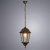 Уличный подвесной светильник Arte Lamp Genova A1204SO-1BN