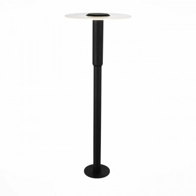 Уличный светодиодный светильник ST Luce SL099.405.01