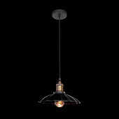 https://vokruglamp.ru/upload/iblock/d92/podvesnoy_svetilnik_loft_it_factory_filament_loft1101_1.jpeg