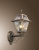 Уличный настенный светильник Odeon Light Outer Nature 2315/1W