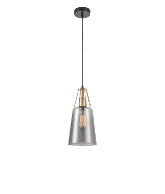 Подвесной светильник Vele Luce Roberto VL5552P21