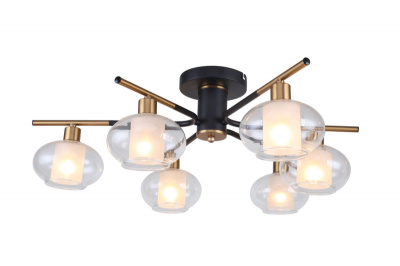 Накладная люстра Freya FR5073PL-06B