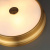 https://vokruglamp.ru/upload/iblock/f06/sy70pt92bitu63eay43xv647sy8s21wy/nastenno_potolochnyy_svetilnik_odeon_light_walli_marsei_4824_3c_4.jpeg