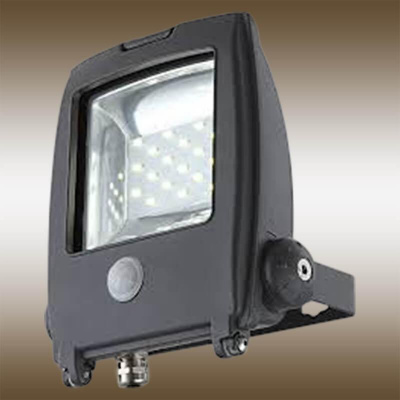 Прожектор светодиодный с датчиком движения Globo Projecteur I 20W 34219S