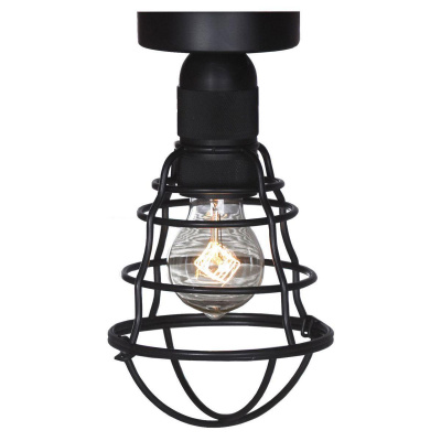 Потолочный светильник Lussole Baldwin LSP-9875c