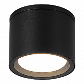 https://img.divine-light.ru/1/468/001468986_800_800.jpg