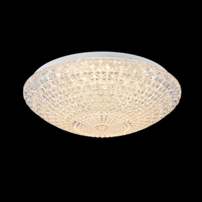 Потолочный светодиодный светильник Freya Alicia FR6310-CL01-12W-TR