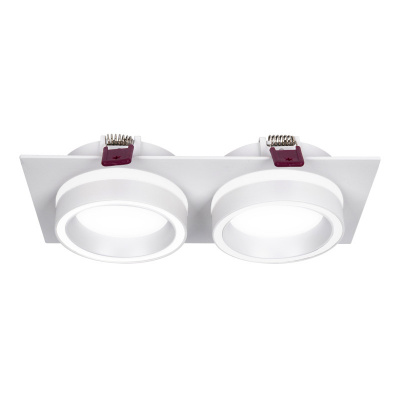 Встраиваемый светильник Favourite 4650-2C