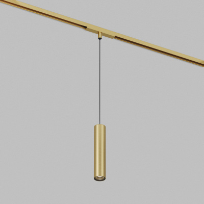 Светильник на шине Denkirs DK5944-SB