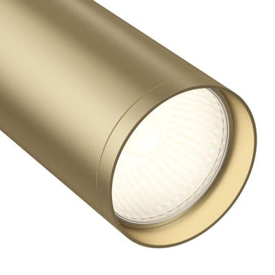Трековый светильник Maytoni Technical Focus S TR020-1-GU10-WMG (TR020-01W+TRA020-01MG)