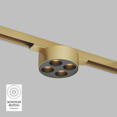 Светильник на шине Denkirs DK5772-SB