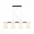 Подвесная люстра ST Luce Caset SL541.403.04