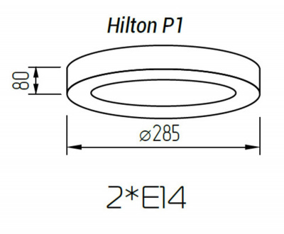 Настенно-потолочный светильник TopDecor Hilton P1 12