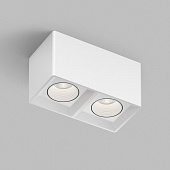 https://img.divine-light.ru/1/667/001667647_800_800.jpg