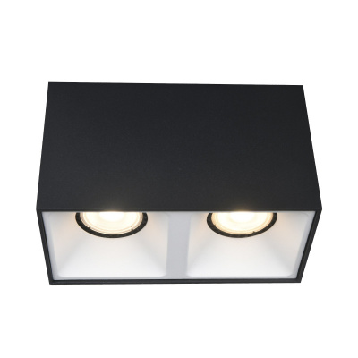 Накладной светильник ST-Luce ST168.452.02 Накладной светильник ST-Luce ST168.452.02