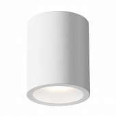 https://img.divine-light.ru/0/956/000956956_800_800.jpg