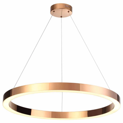Подвесной светодиодный светильник Odeon Light L-vision Brizzi 3885/45LA