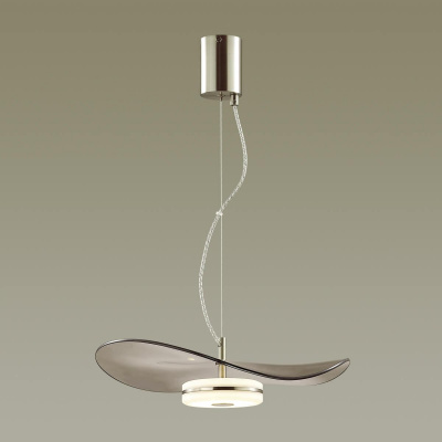 Подвесной светодиодный светильник Odeon Light L-vision Fluent 4858/13L