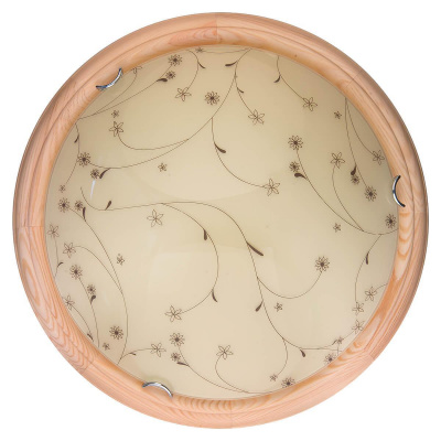 Настенно-потолочный светодиодный светильник Toplight Karissa TL9650Y-00PN