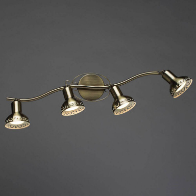 Спот Arte Lamp Focus A5219PL-4AB