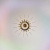 https://vokruglamp.ru/upload/iblock/501/bkpa1z8a9izaq3spa4kurkbcc8051stg/podvesnaya_lyustra_imperium_loft_baccara_140545_26_2.jpeg