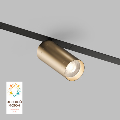 Светильник на шине Denkirs DK8020-BG