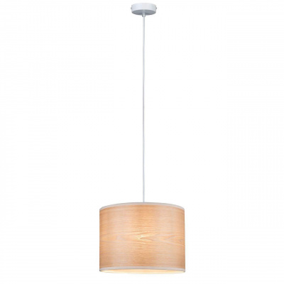 Подвесной светильник Paulmann Neta 79630