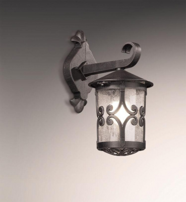 Уличный настенный светильник Odeon Light Bukle 2311/1W