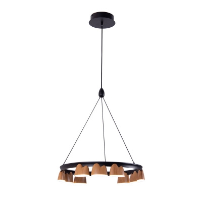 Подвесная люстра Favourite 4266-9P