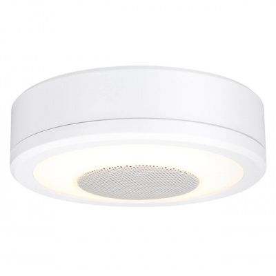 Потолочный светодиодный светильник Paulmann LightSound 92096