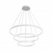 https://img.divine-light.ru/0/542/000542659_800_800.jpg