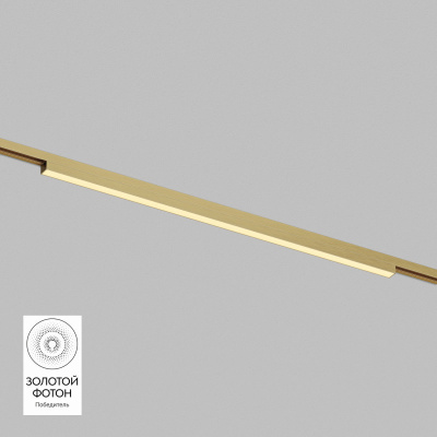 Светильник на шине Denkirs DK5752-SB