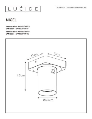 Спот Lucide Nigel 09929/05/02