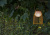 Переносной светодиодный фонарь Lucide Fjara аккумуляторный 250х175 30лм 06801/01/43