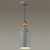 https://vokruglamp.ru/upload/iblock/0c5/fac79z6sh1xkyzqqpceeheu1b1wu0gl2/podvesnoy_svetilnik_odeon_light_pendant_bolli_4092_1_1.jpeg