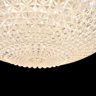 Потолочный светодиодный светильник Freya Alicia FR6310-CL01-12W-TR