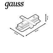 https://vokruglamp.ru/upload/iblock/7e7/konnektor_pryamoy_gauss_tr132_1.jpeg
