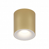https://img.divine-light.ru/1/069/001069270_800_800.jpg