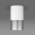 https://vokruglamp.ru/upload/iblock/a3a/potolochnyy_svetilnik_elektrostandard_dln106_gu10_belyy_serebro_4690389148606_1.jpeg