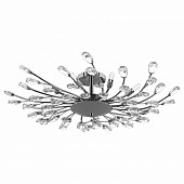 https://img.divine-light.ru/0/426/000426129_800_800.jpg