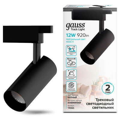 Трековый светодиодный светильник Gauss Track Light Led TR065