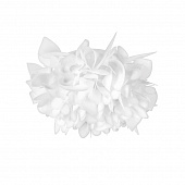 https://img.divine-light.ru/1/683/001683064_800_800.jpg