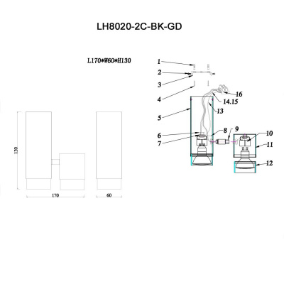 Спот Lumien Hall Саурис LH8020/2C-BK-GD