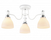 https://img.divine-light.ru/0/890/000890863_800_800.jpg