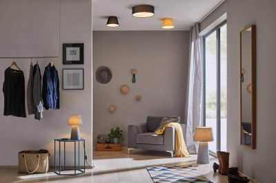 Настольная лампа Paulmann Kelt 79734