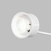 https://img.divine-light.ru/1/660/001660208_800_800.jpg
