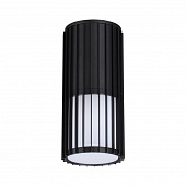 https://img.divine-light.ru/1/571/001571347_800_800.jpg