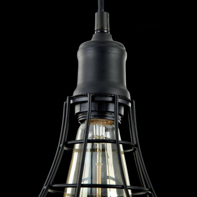 Подвесной светильник Maytoni Denver T449-PL-01-B