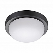 https://img.divine-light.ru/1/088/001088236_800_800.jpg