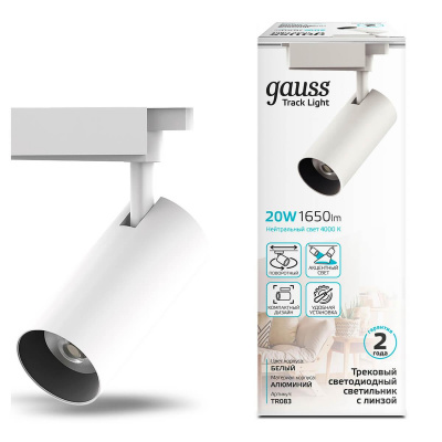 Трековый светодиодный светильник Gauss Track Light Led TR083